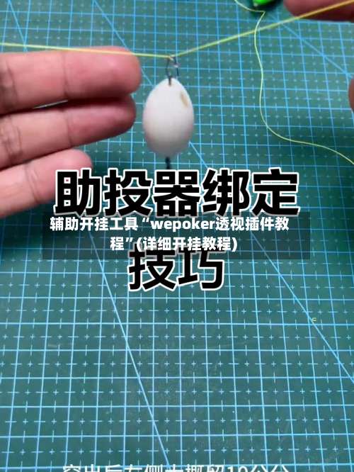 辅助开挂工具“wepoker透视插件教程”(详细开挂教程)-第3张图片