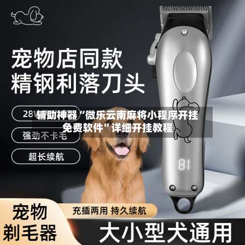 辅助神器“微乐云南麻将小程序开挂免费软件”详细开挂教程-第1张图片