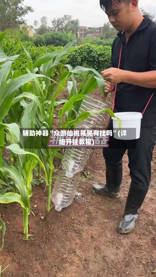 辅助神器“众游仙桃晃晃有挂吗”(详细开挂教程)-第2张图片