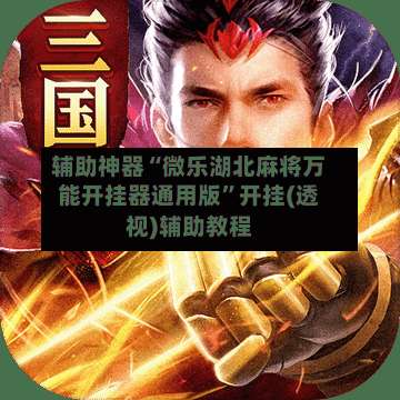 辅助神器“微乐湖北麻将万能开挂器通用版	”开挂(透视)辅助教程-第2张图片