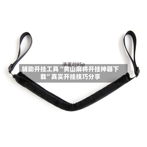 辅助开挂工具“黄山麻将开挂神器下载”真实开挂技巧分享-第1张图片