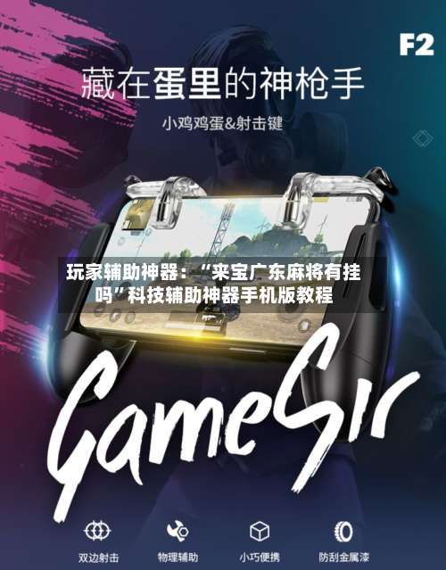 玩家辅助神器：“来宝广东麻将有挂吗	”科技辅助神器手机版教程-第1张图片