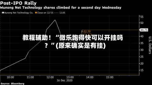 教程辅助！“微乐跑得快可以开挂吗？”(原来确实是有挂)-第2张图片