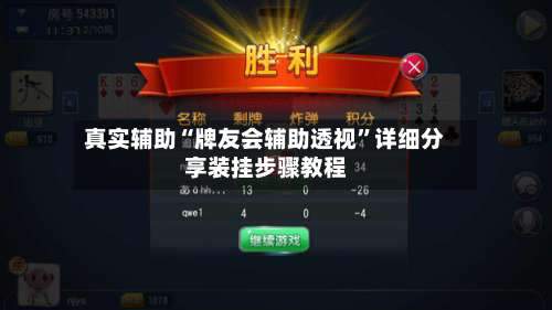 真实辅助“牌友会辅助透视”详细分享装挂步骤教程-第2张图片