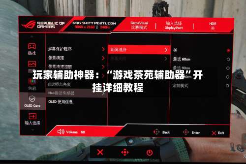 玩家辅助神器：“游戏茶苑辅助器”开挂详细教程-第3张图片