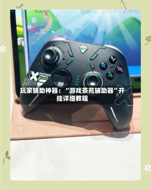 玩家辅助神器：“游戏茶苑辅助器”开挂详细教程-第2张图片