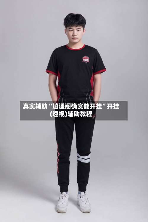真实辅助“逍遥阁确实能开挂”开挂(透视)辅助教程-第1张图片