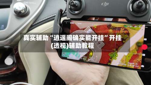 真实辅助“逍遥阁确实能开挂	”开挂(透视)辅助教程-第3张图片