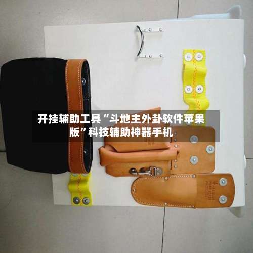 开挂辅助工具“斗地主外卦软件苹果版	”科技辅助神器手机-第1张图片