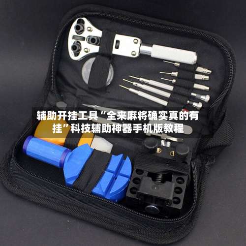 辅助开挂工具“全来麻将确实真的有挂”科技辅助神器手机版教程-第2张图片