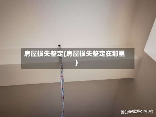 房屋损失鉴定(房屋损失鉴定在那里)-第1张图片