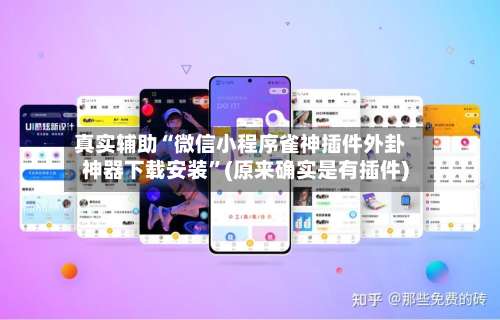 真实辅助“微信小程序雀神插件外卦神器下载安装	”(原来确实是有插件)-第1张图片