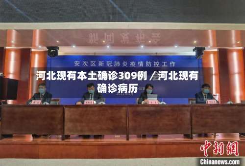 河北现有本土确诊309例／河北现有确诊病历-第2张图片