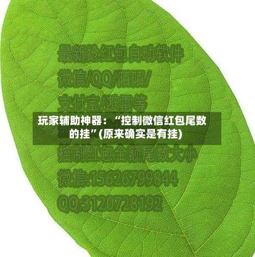 玩家辅助神器：“控制微信红包尾数的挂	”(原来确实是有挂)-第1张图片