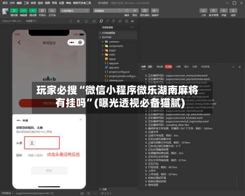 玩家必搜“微信小程序微乐湖南麻将有挂吗”(曝光透视必备猫腻)-第1张图片