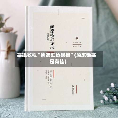 实操教程“德友汇透视挂”(原来确实是有挂)-第1张图片