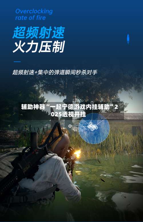 辅助神器“一起宁德游戏内挂辅助”2025透视开挂-第3张图片