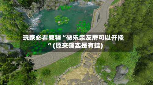 玩家必看教程“微乐亲友房可以开挂”(原来确实是有挂)-第3张图片