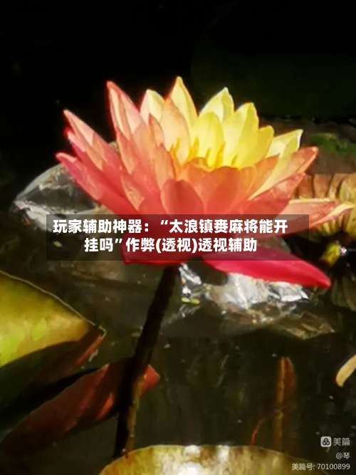 玩家辅助神器：“太浪镇赉麻将能开挂吗”作弊(透视)透视辅助-第2张图片