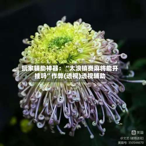 玩家辅助神器：“太浪镇赉麻将能开挂吗”作弊(透视)透视辅助-第3张图片