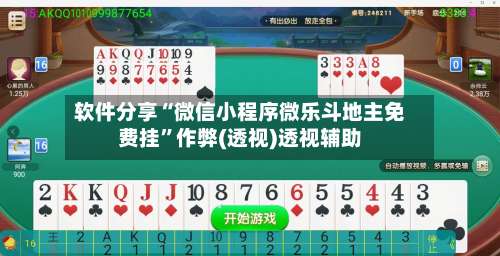 软件分享“微信小程序微乐斗地主免费挂”作弊(透视)透视辅助-第3张图片