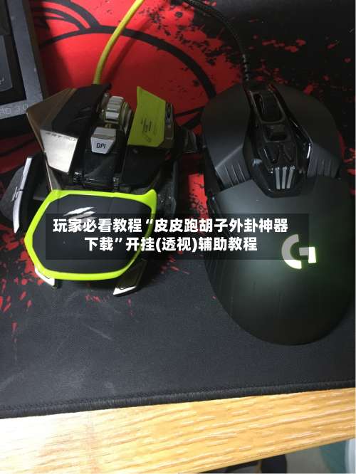 玩家必看教程“皮皮跑胡子外卦神器下载”开挂(透视)辅助教程-第2张图片