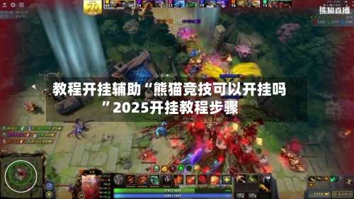 教程开挂辅助“熊猫竞技可以开挂吗	”2025开挂教程步骤-第2张图片