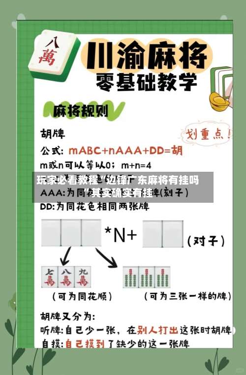 玩家必看教程“边锋广东麻将有挂吗”其实确实有挂-第2张图片