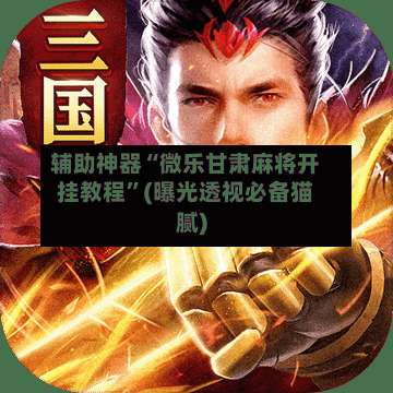 辅助神器“微乐甘肃麻将开挂教程”(曝光透视必备猫腻)-第3张图片