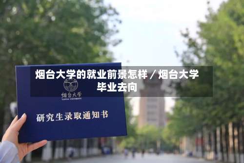 烟台大学的就业前景怎样／烟台大学毕业去向-第1张图片