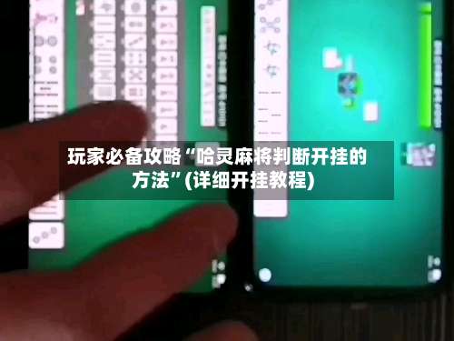 玩家必备攻略“哈灵麻将判断开挂的方法	”(详细开挂教程)-第2张图片