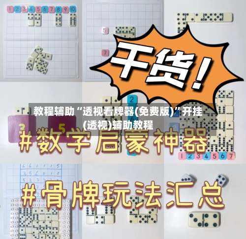 教程辅助“透视看牌器(免费版)	”开挂(透视)辅助教程-第2张图片