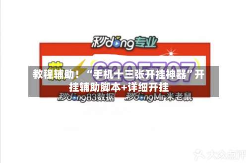 教程辅助！“手机十三张开挂神器	”开挂辅助脚本+详细开挂-第1张图片