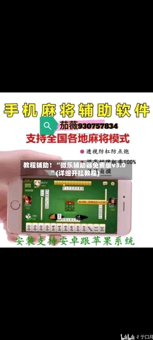 教程辅助！“微乐辅助器免费版v3.0”(详细开挂教程)-第2张图片