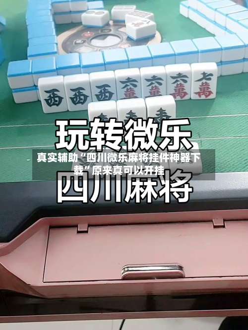 真实辅助“四川微乐麻将挂件神器下载	”原来真可以开挂-第1张图片