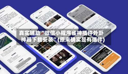 真实辅助“微信小程序雀神插件外卦神器下载安装	”(原来确实是有插件)-第2张图片