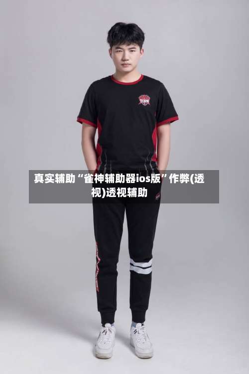 真实辅助“雀神辅助器ios版”作弊(透视)透视辅助-第2张图片