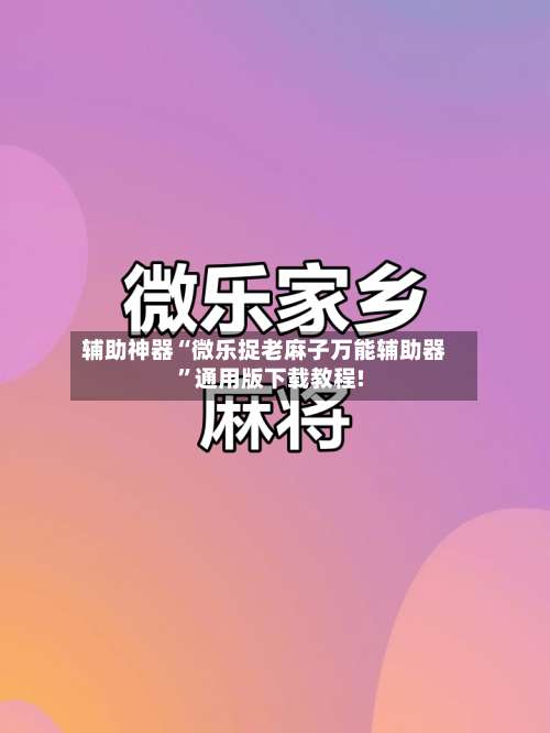 辅助神器“微乐捉老麻子万能辅助器”通用版下载教程!-第3张图片