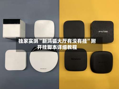 独家实测“新鸿狐大厅有没有挂”附开挂脚本详细教程-第1张图片