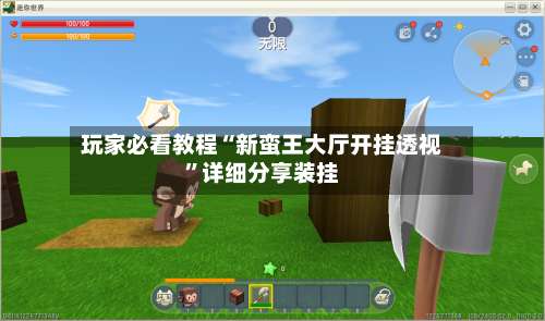 玩家必看教程“新蛮王大厅开挂透视”详细分享装挂-第1张图片