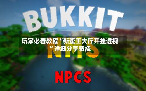 玩家必看教程“新蛮王大厅开挂透视	”详细分享装挂-第2张图片