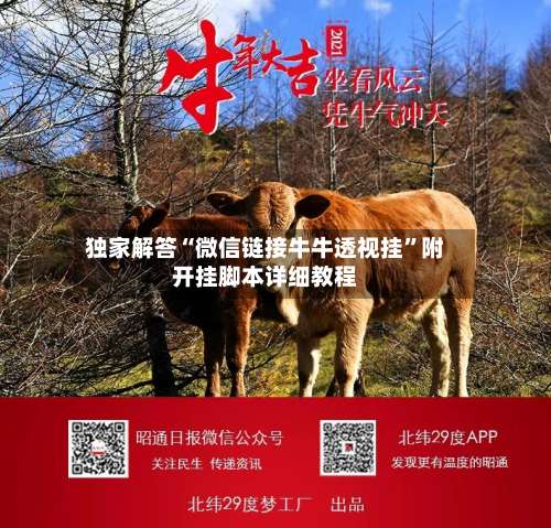 独家解答“微信链接牛牛透视挂”附开挂脚本详细教程-第1张图片