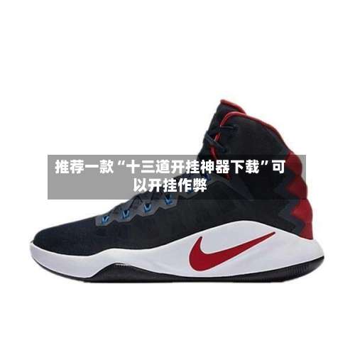 推荐一款“十三道开挂神器下载”可以开挂作弊-第1张图片