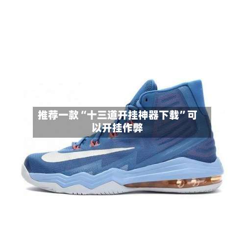 推荐一款“十三道开挂神器下载	”可以开挂作弊-第2张图片