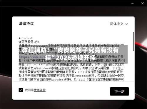 教程辅助！“皮皮跑胡子究竟有没有挂”2026透视开挂-第2张图片