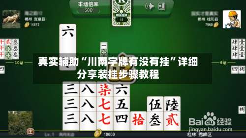 真实辅助“川南字牌有没有挂”详细分享装挂步骤教程-第1张图片