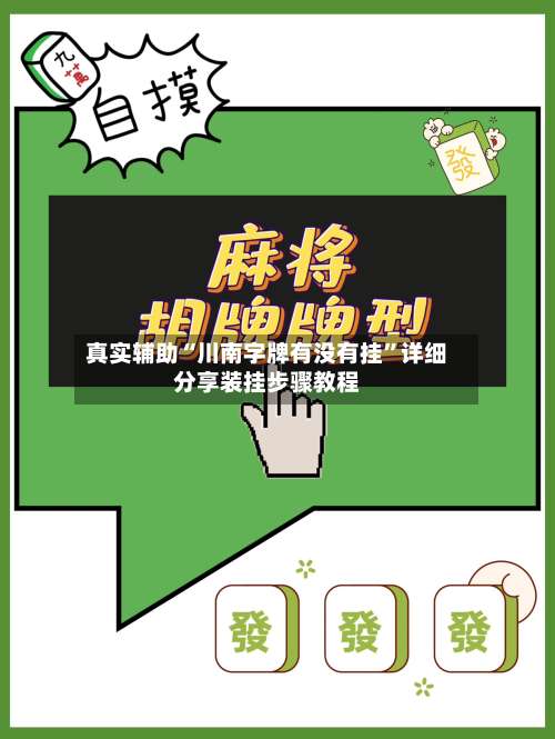 真实辅助“川南字牌有没有挂	”详细分享装挂步骤教程-第2张图片
