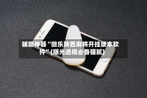 辅助神器“微乐陕西麻将开挂版本软件”(曝光透视必备猫腻)-第3张图片