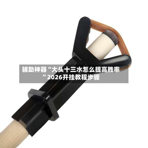 辅助神器“大头十三水怎么提高胜率”2026开挂教程步骤-第2张图片
