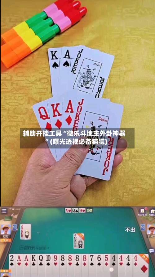 辅助开挂工具“微乐斗地主外卦神器	”(曝光透视必备猫腻)-第1张图片